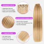 blonde-highlight-clip-in-hair-extension-4.webp