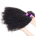 curly-bundles-with-hd-closure.jpg