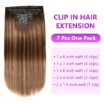 highlight-clip-in-hair-extension.webp