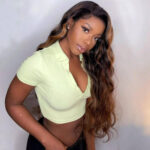 ombre-highlight-body-wave-wig-2.webp